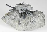 Lustrous, Metallic Stibnite Crystal Spray On Matrix - China #175843-2